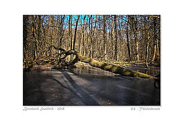 Bernhard Saalfeld - 04 - Thielenbruch_800